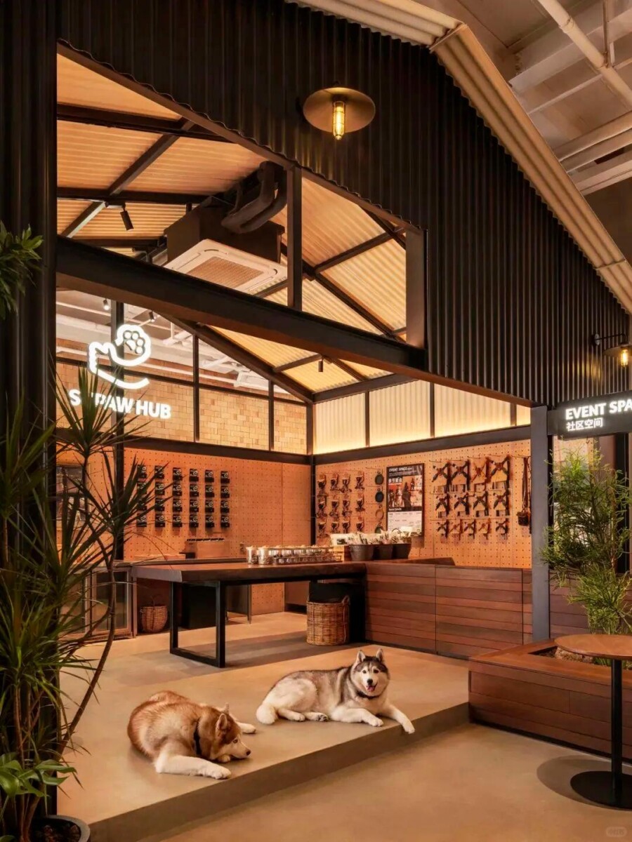  Ý Tưởng Quảng Cáo Quán Cafe Thịnh Hành Nhất Năm 2025