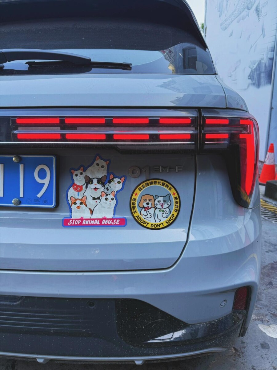 6 Ý Tưởng Decal Dán Xe Ngộ Nghĩnh Làm Nổi Bật Phong Cách Của Bạn