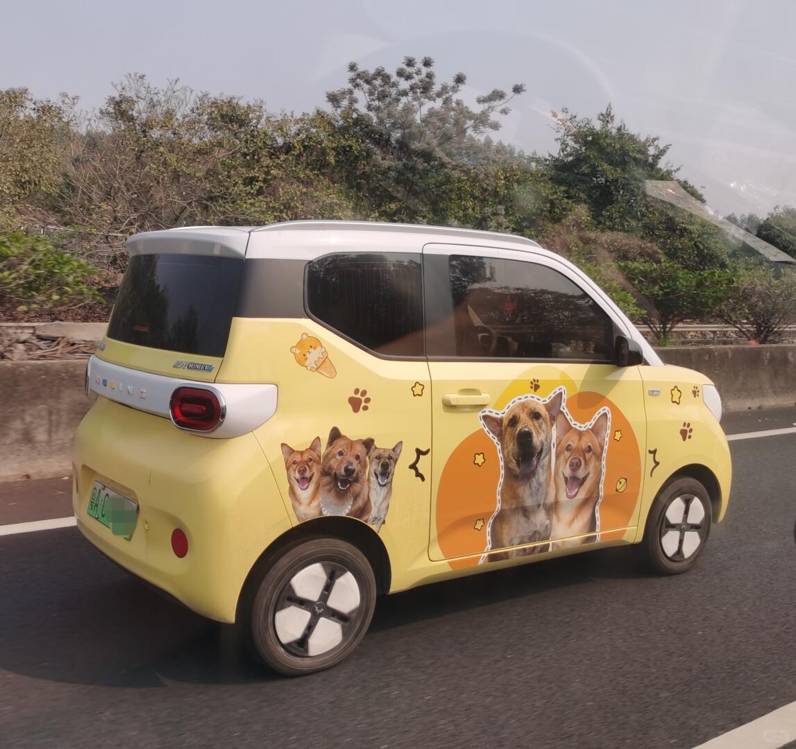 6 Ý Tưởng Decal Dán Xe Ngộ Nghĩnh Làm Nổi Bật Phong Cách Của Bạn